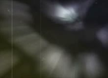 161_5th.mp4