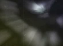 161_5th.mp4
